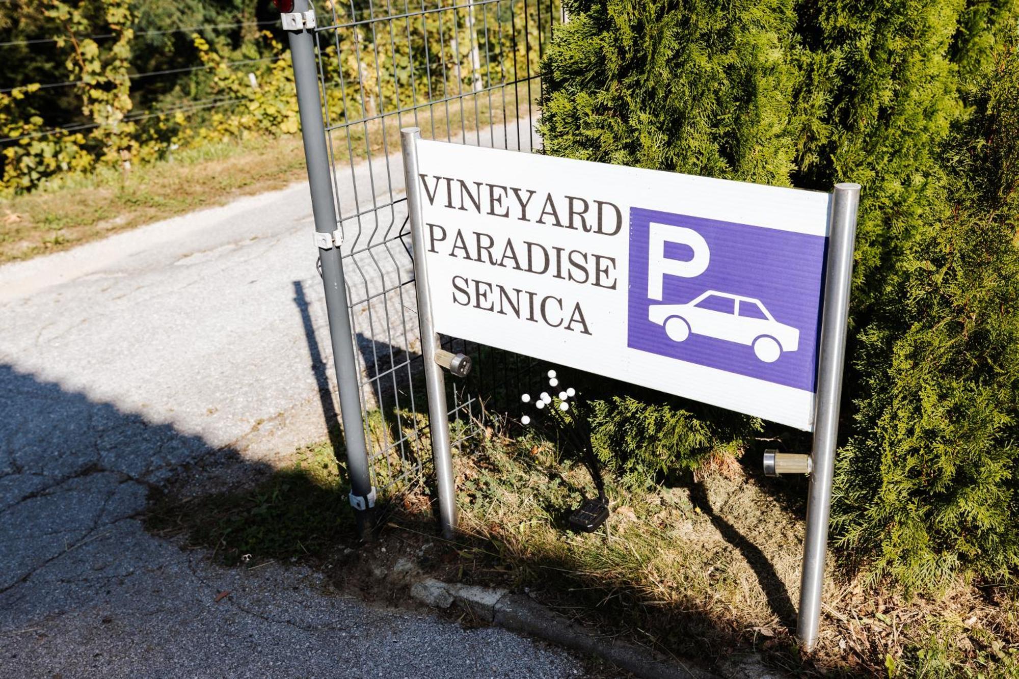 Vineyard Paradise Senica Dramlje Экстерьер фото